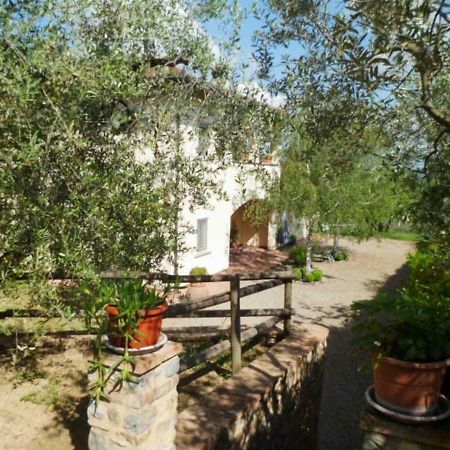 Pensjonat Casa Le Betulle Montespertoli Zewnętrze zdjęcie